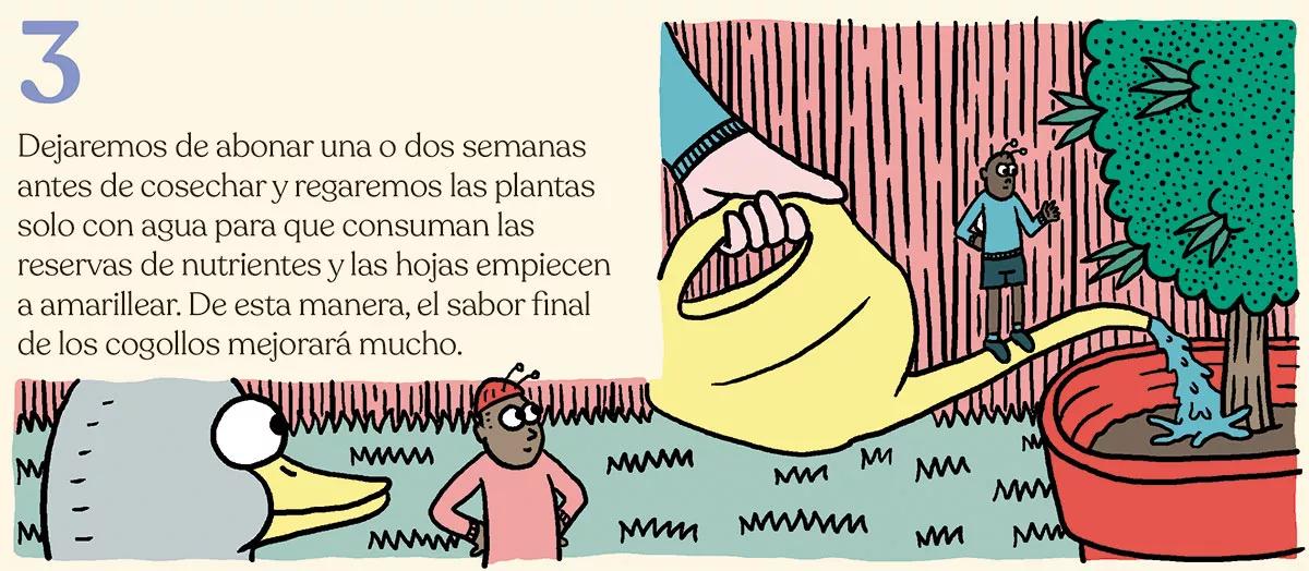 La cosecha perfecta en diez pasos: consejos y trucos de experto