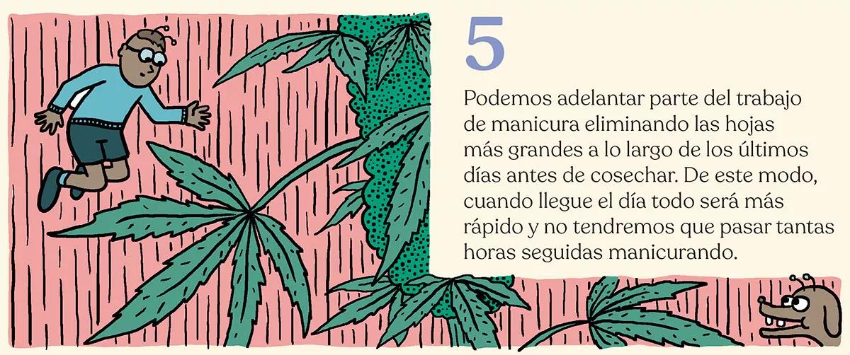La cosecha perfecta en diez pasos: consejos y trucos de experto
