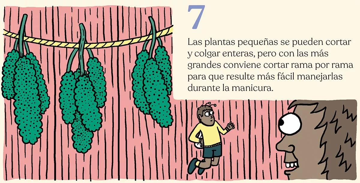 La cosecha perfecta en diez pasos: consejos y trucos de experto