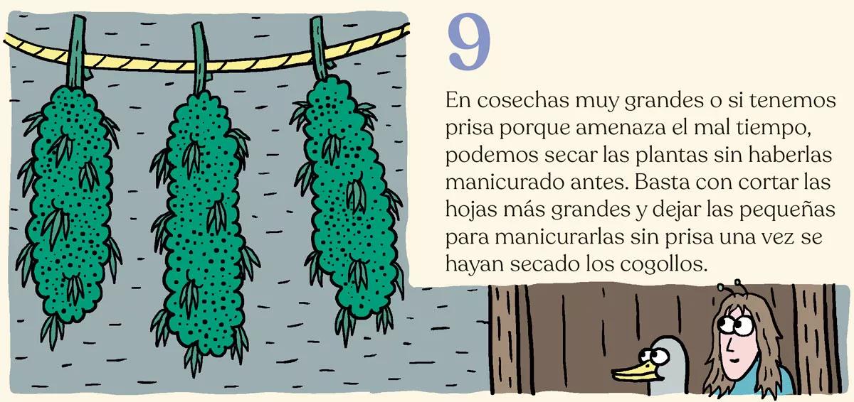 La cosecha perfecta en diez pasos: consejos y trucos de experto 