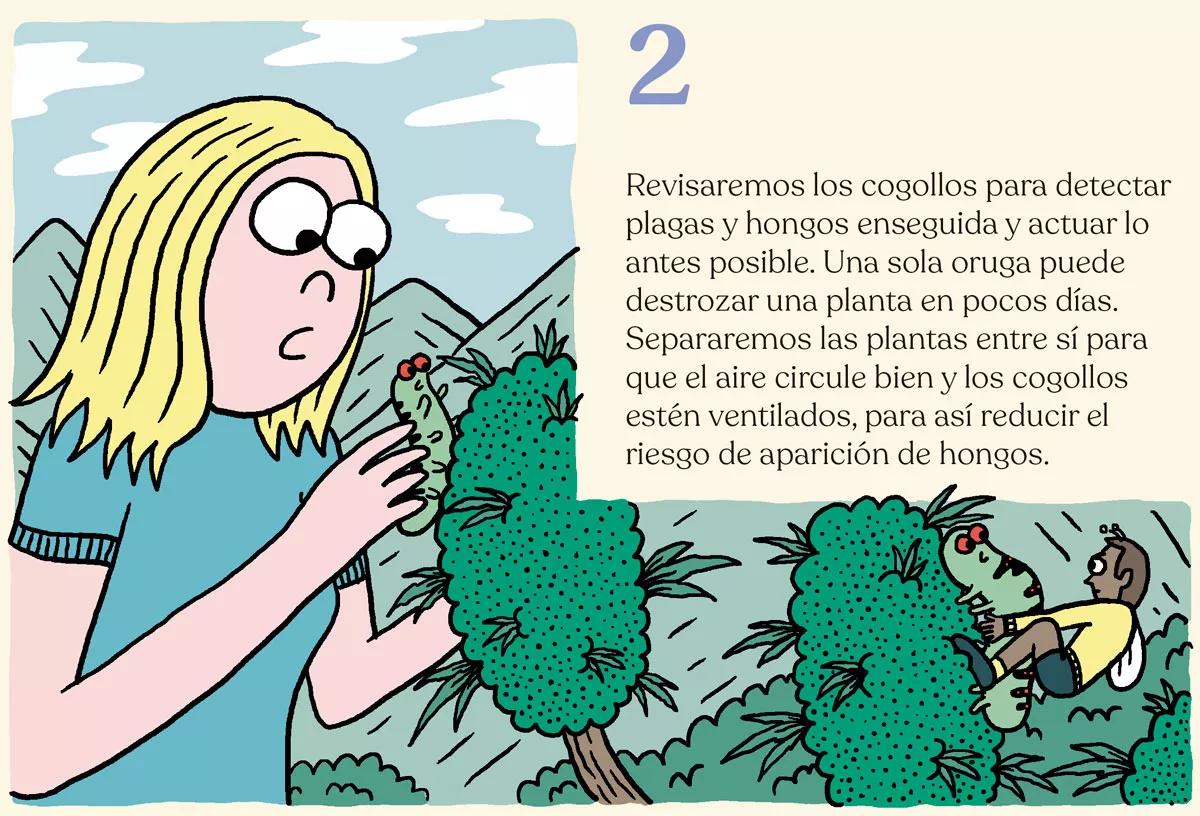 La cosecha perfecta en diez pasos: consejos y trucos de experto