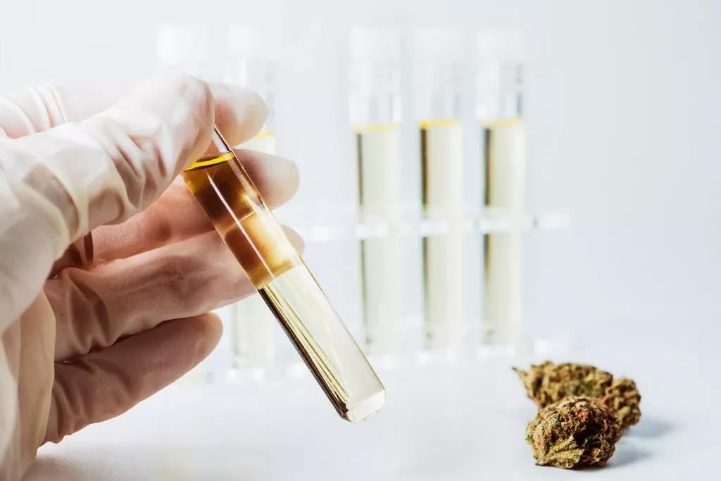 ¿Cuál es la empresa española que proveerá de cannabis medicinal a Ucrania?