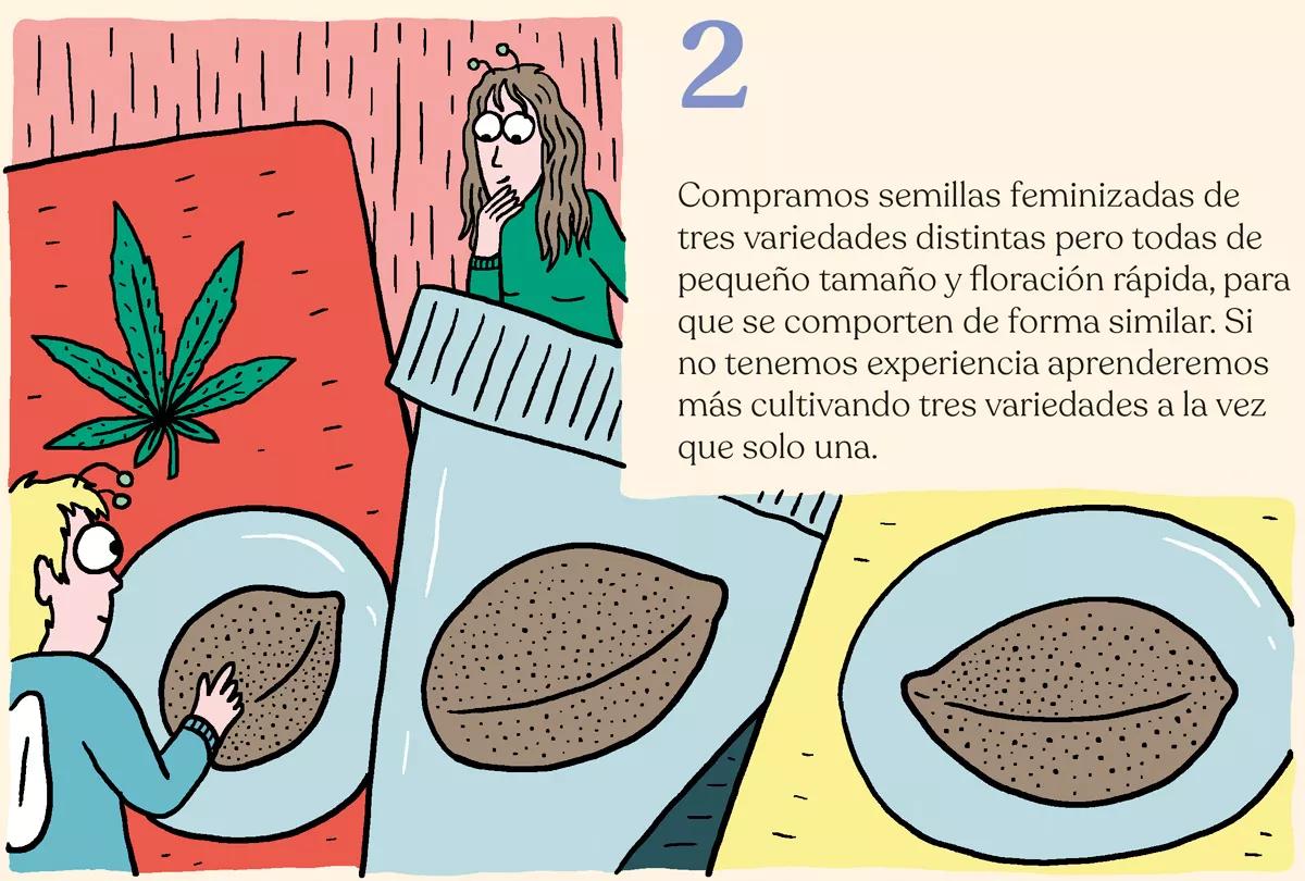 Diez pasos para montar el primer cultivo interior 