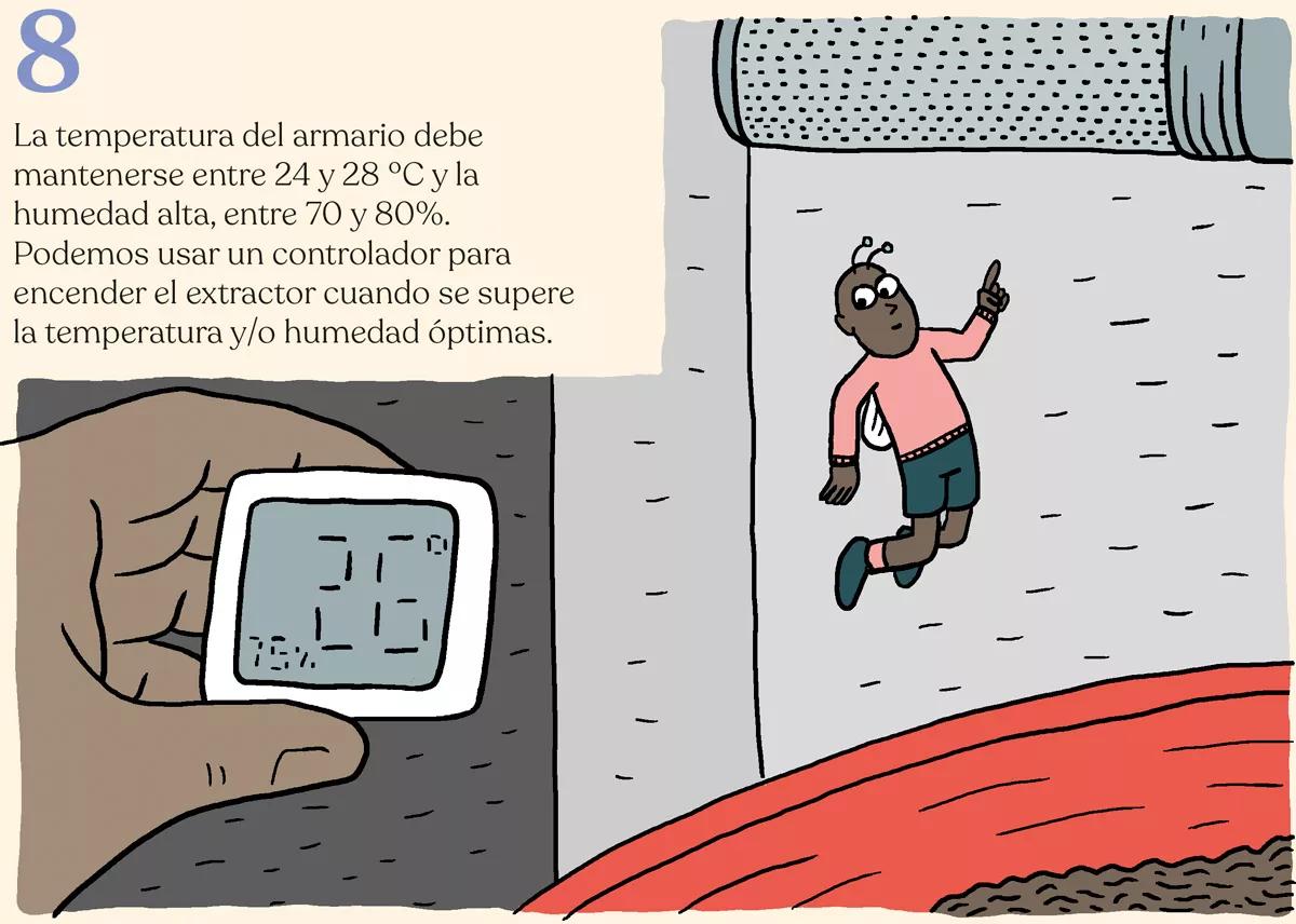 Diez pasos para montar el primer cultivo interior 