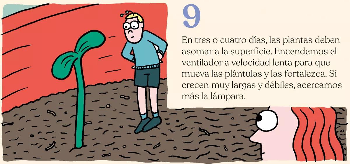 Diez pasos para montar el primer cultivo interior 