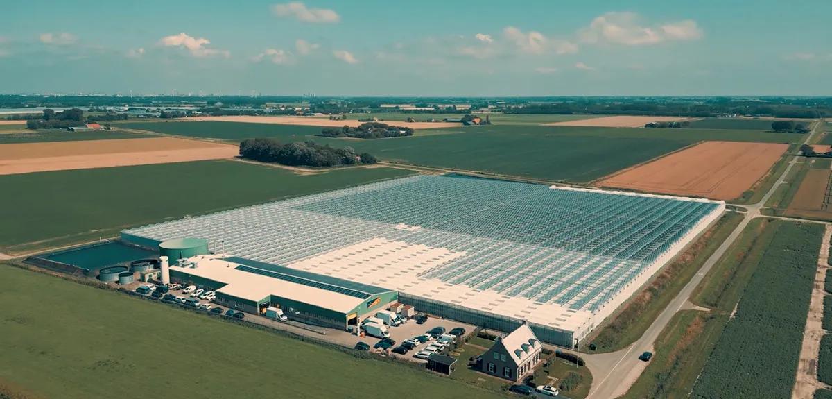 Juez ordena reducir el olor o detener la producción de cannabis