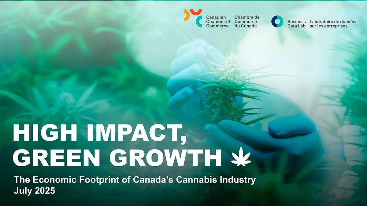 El cannabis aportó 10.800 millones de euros al PIB canadiense en 2024