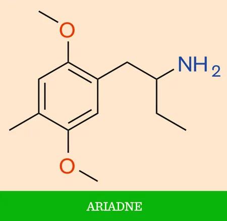 Destejiendo la psicodelia. ARIADNE