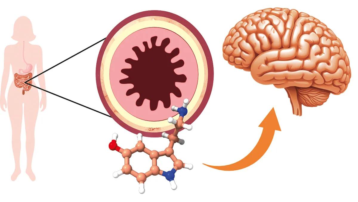 Canabinoides y efectos secundarios de la quimioterapia