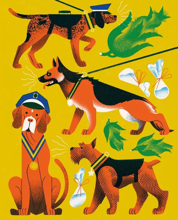 El peligroso auge de los perros policía 