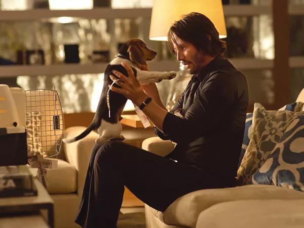 John Wick: por el amor a un perro